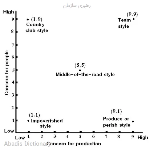 رهبری سازمان